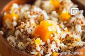 藜麦的种植技术,藜麦的种植条件