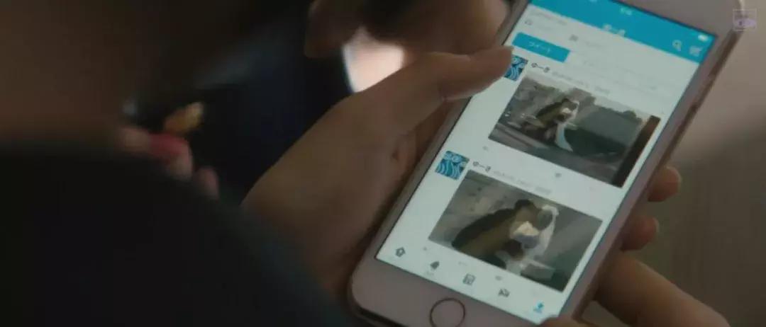 师生禁忌恋：老师，我可以喜欢你吗？