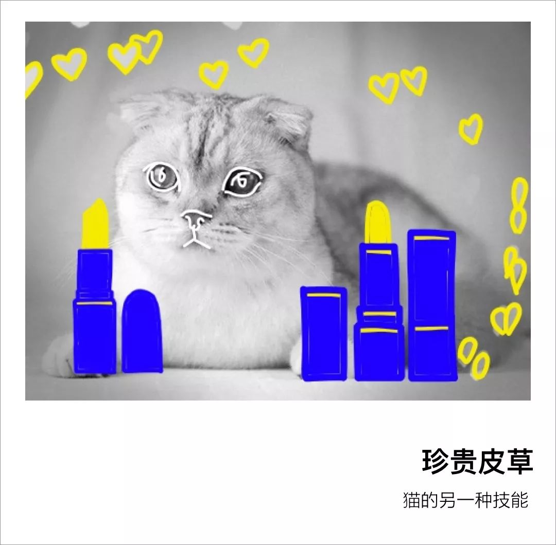 代购创业故事,如何做一名比较靠谱的代购