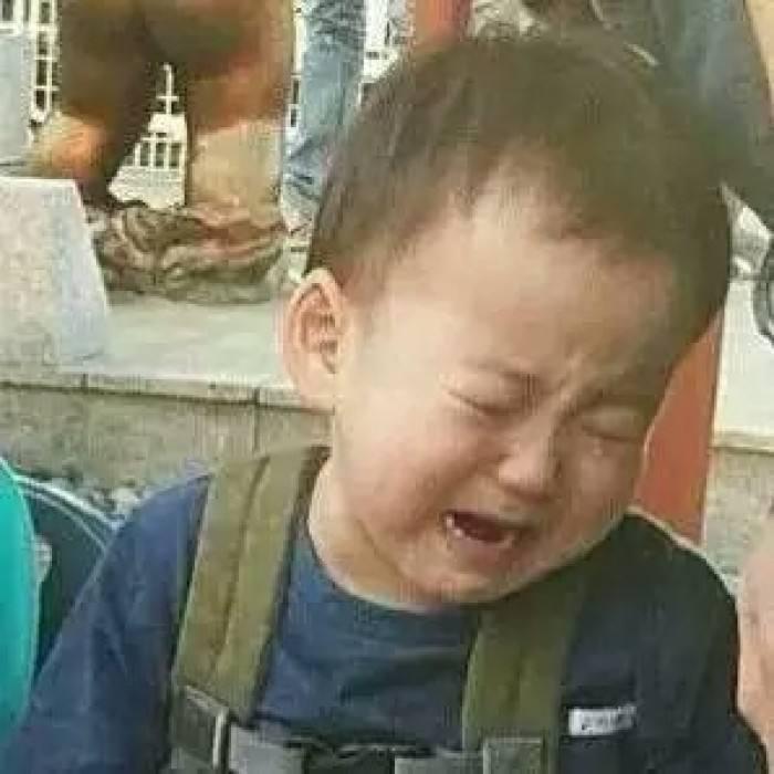 空气净化器除宠物屎味吗,空气净化器能去除宠物异味吗