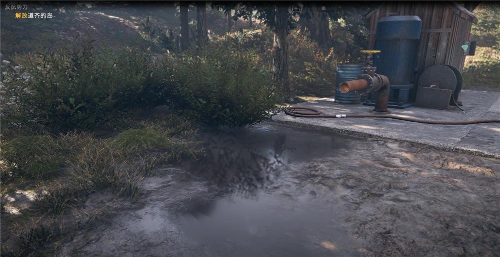 育碧孤岛惊魂4季票,育碧孤岛惊魂5预购奖励有哪些