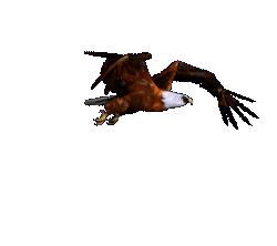 怡人的风景美景,湖南怡人园林