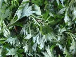 家庭常备中药清单,儿童家庭常备小中药