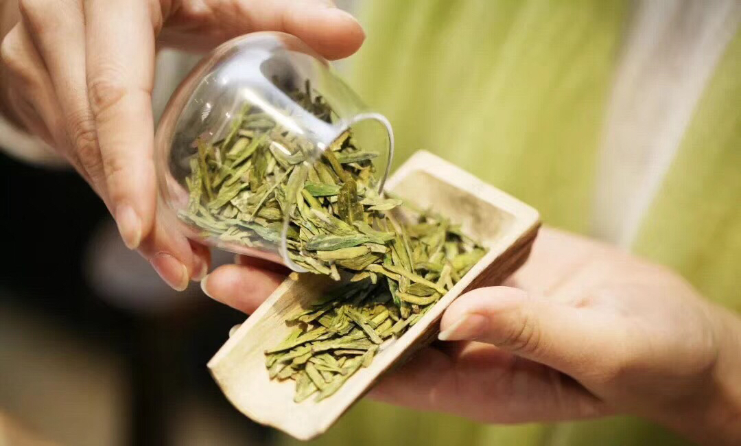 绿茶茶艺表演教程全过程,绿茶泡茶的茶艺表演流程