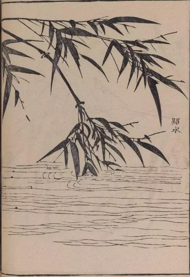 芥子园竹谱高清临摹,芥子园画谱原文