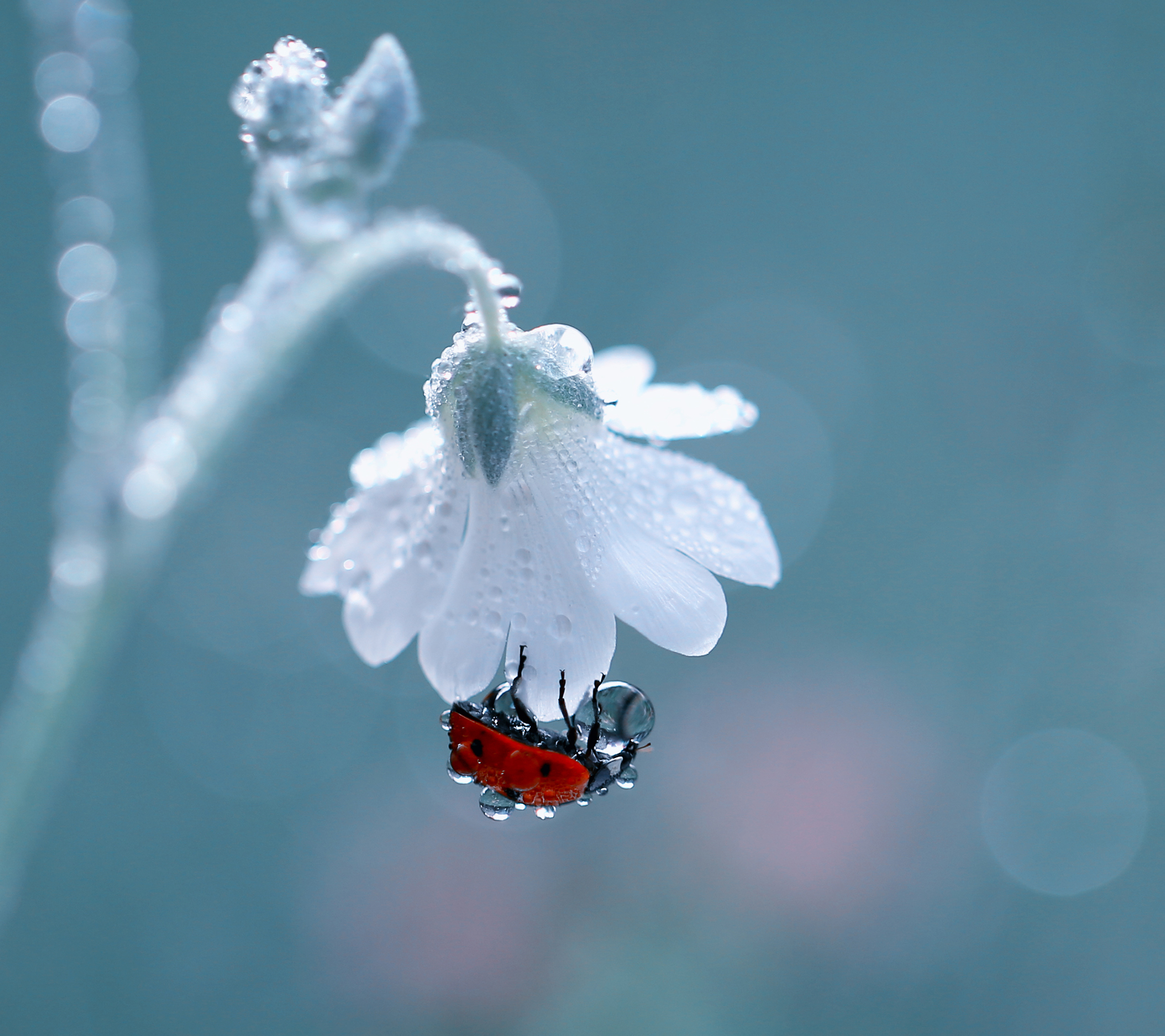 趣味测试测你是不是正常人,趣味测试你未来会跟谁结婚