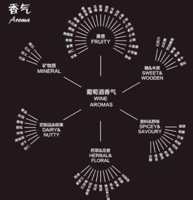葡萄酒的常识知识大全,有关葡萄酒的知识大全