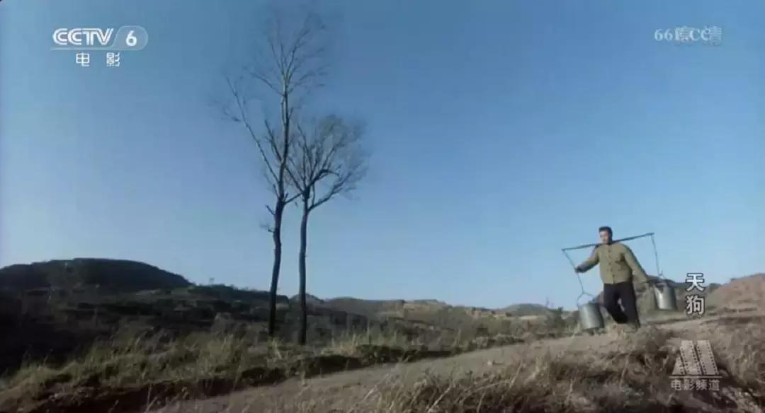 那个不为人知的故事真实改编,触目惊心的故事