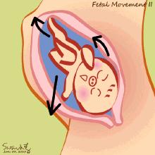 关于胎动孕妈们必须知道的事,孕期胎动正解