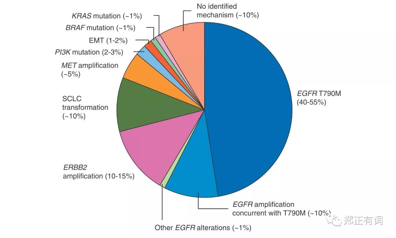 egfr三代耐药后可能出现的突变,egfrtkis耐药
