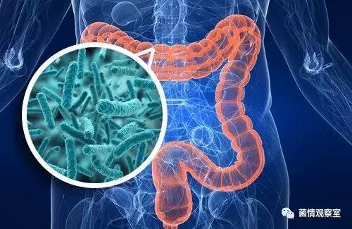 肠道有4大症状说明病得不轻,不确定身体哪里出了问题