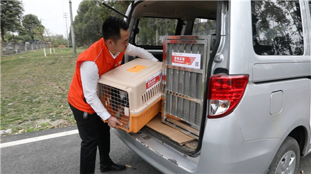 川航宠物机票真的有那么好吗,宠物机票川航