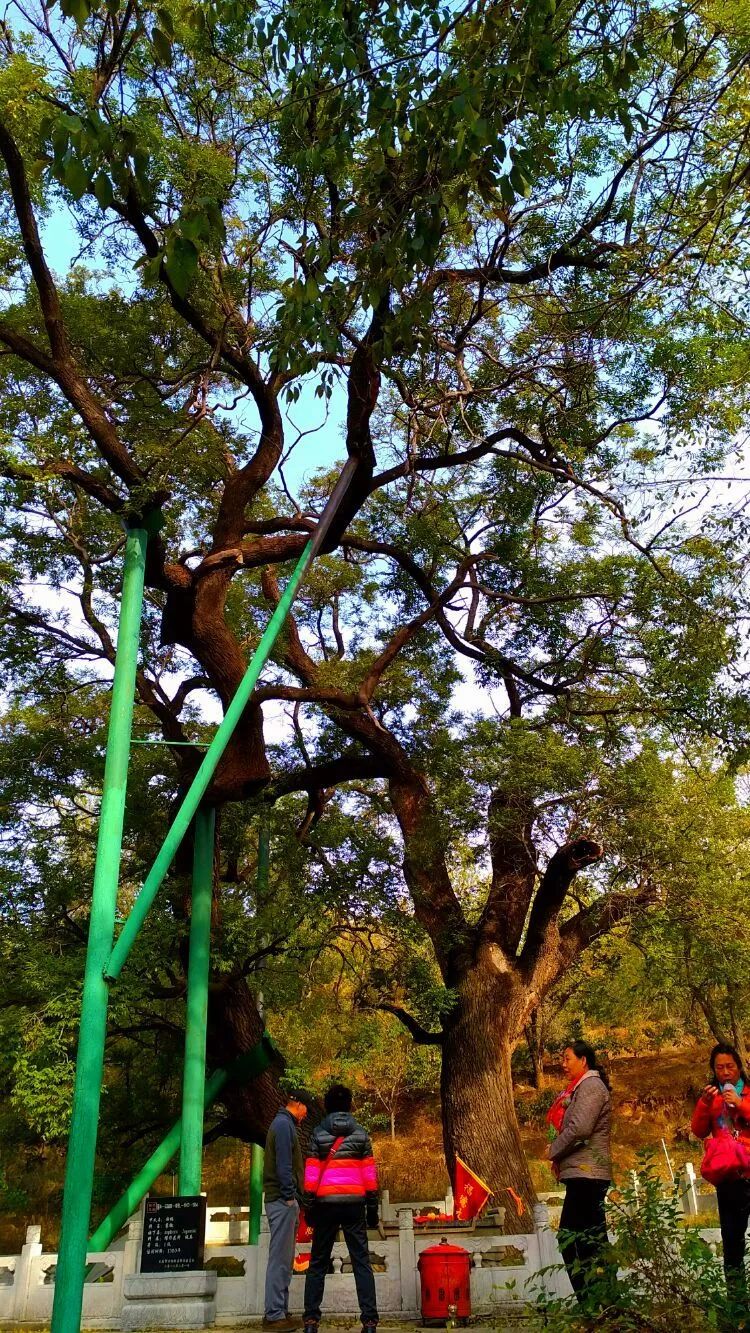 山西太原旅游四天攻略,太原出发摩旅太行山攻略