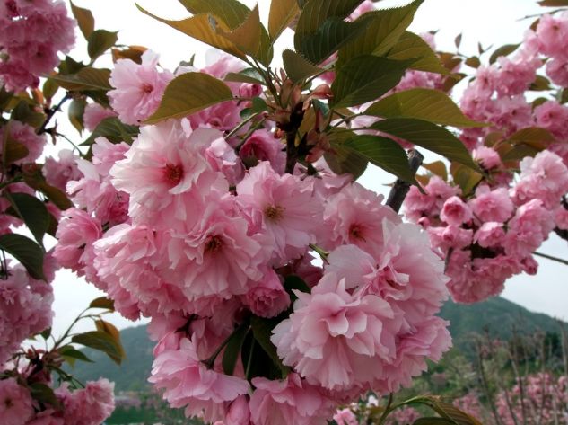 山西太原旅游四天攻略,太原出发摩旅太行山攻略