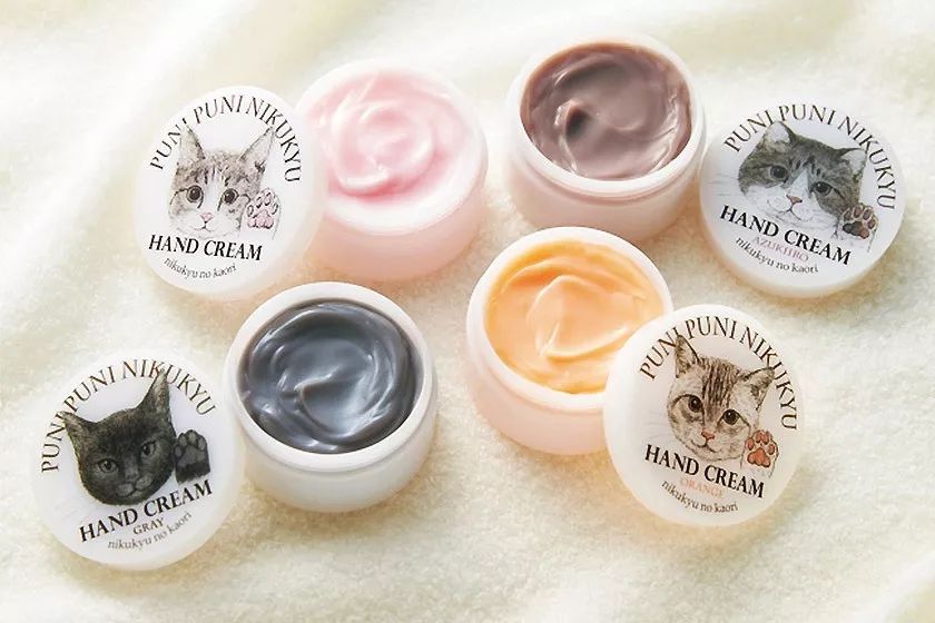 放开我的钱包啊！令猫奴闻风丧胆的种草大会！