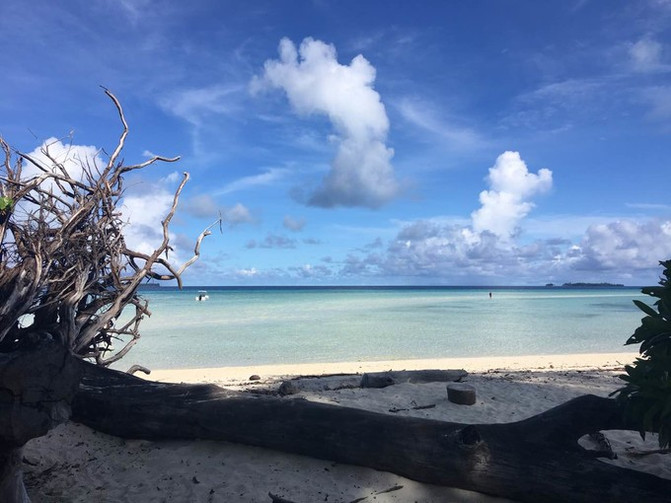 带着老人和孩子去上帝的水族馆！帕劳