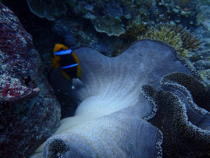 闺蜜一起游东湖公园,跟闺蜜一起去观光大海