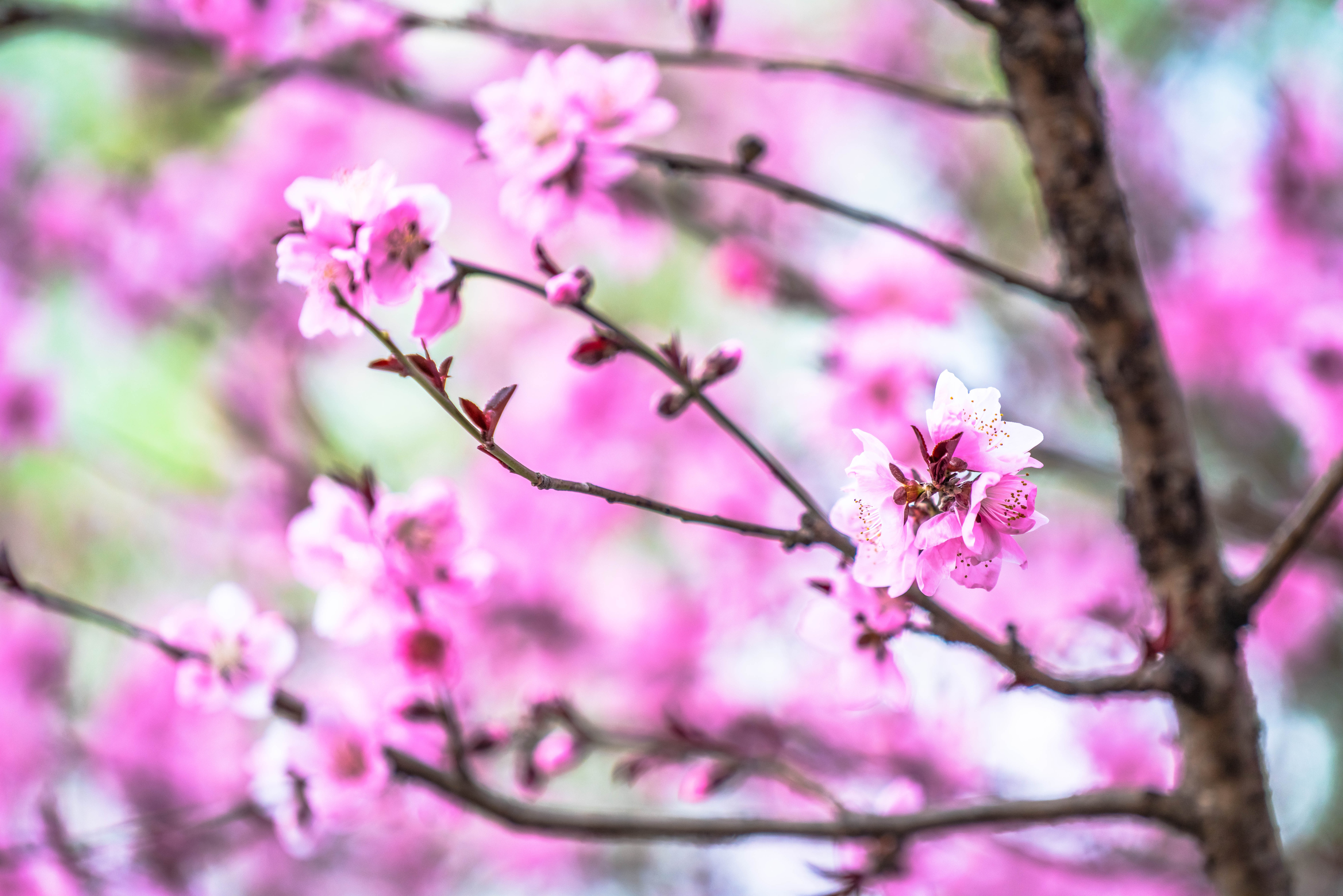 魔都最漂亮地铁站14号线,魔都最美地铁站豫园站