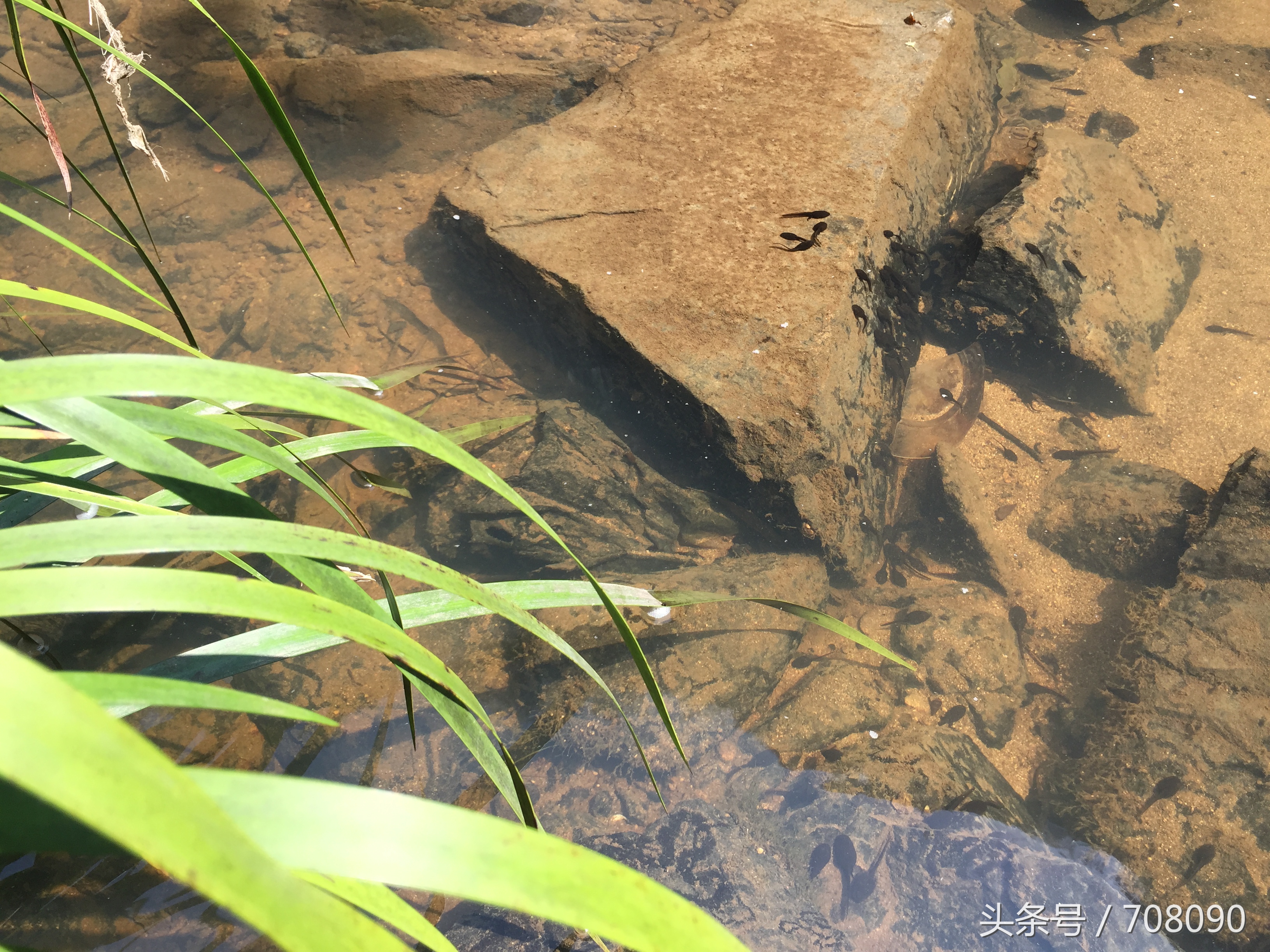 福州闽侯三叠井森林公园攻略,三叠井森林公园攻略