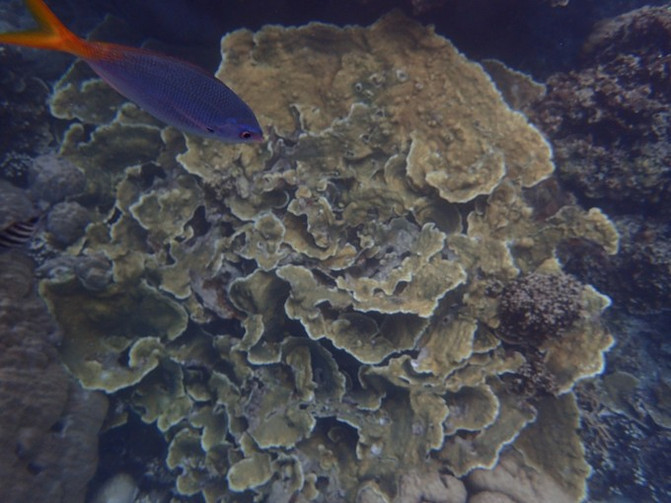 和闺蜜一起去水上世界,闺蜜一起游东湖公园