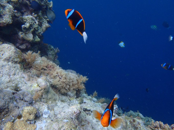 太平洋上的美丽岛屿,太平洋绝美海岛