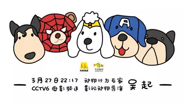 确认过的眼神是我想宠的人,确认过眼神是我想撩的灵魂