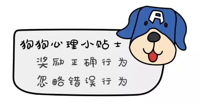 确认过的眼神是我想宠的人,确认过眼神是我想撩的灵魂