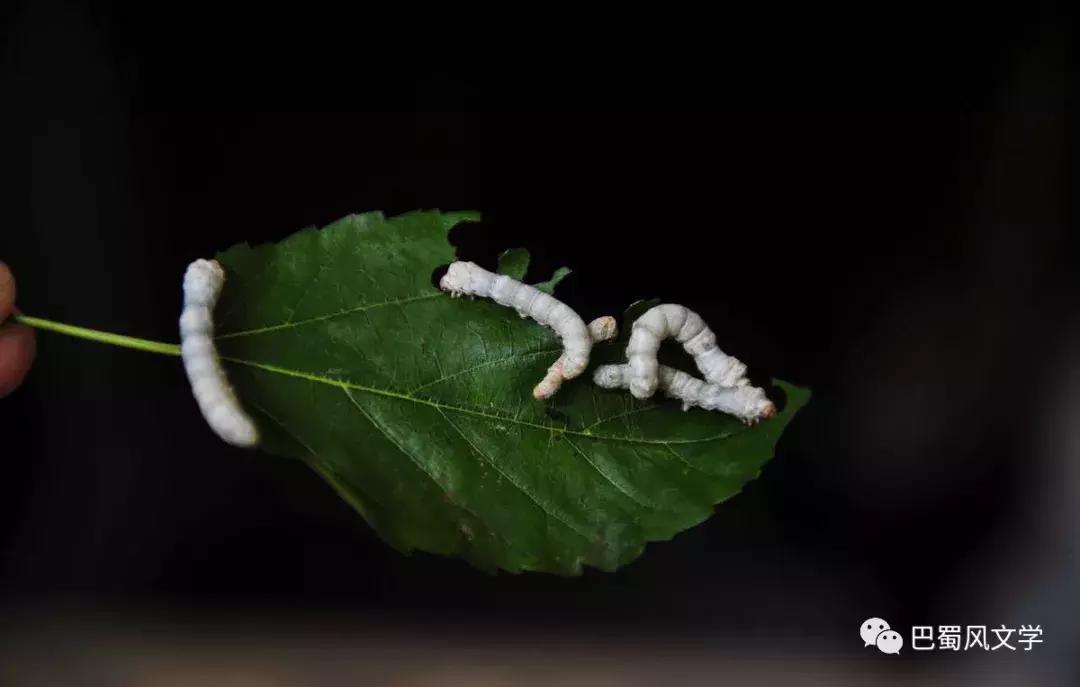 閾佸箔閾跺窞鎴挎簮,閾佸箔閾跺窞澶╂皵