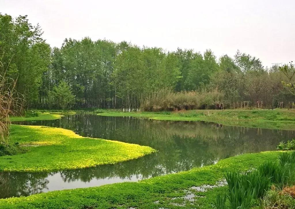 再上5天班，就放小长假！四川哪里*光春**诱人？靠谱实测甩给你