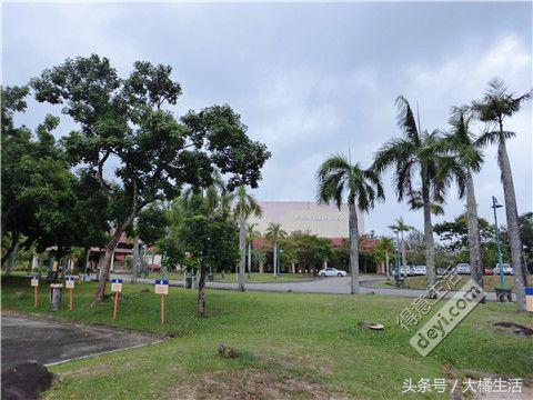 悠哉的沙巴行空气清新重要的是接机仅需1元