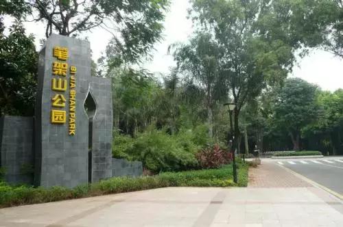 深圳仙湖植物园清明踏青赏花,深圳2022清明能去旅游吗