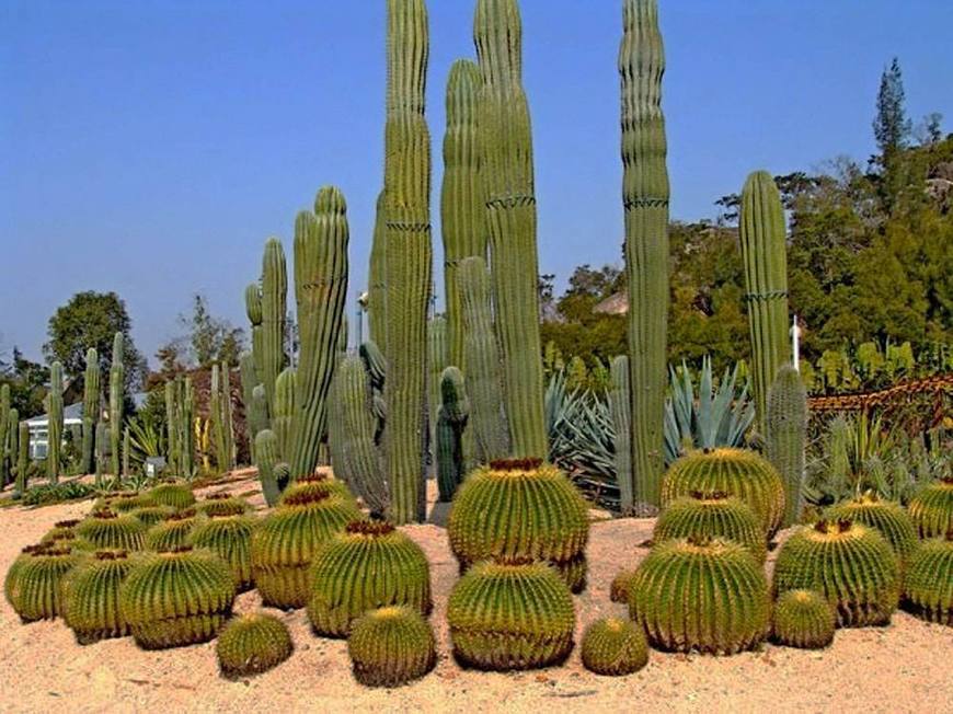 跨越墨西哥、古巴两国10天深度探索之旅让我来一次加勒比之旅！