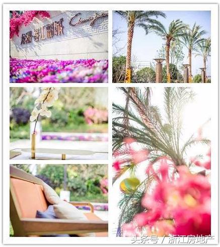 平湖原来属于哪个省,平湖最有潜力的区