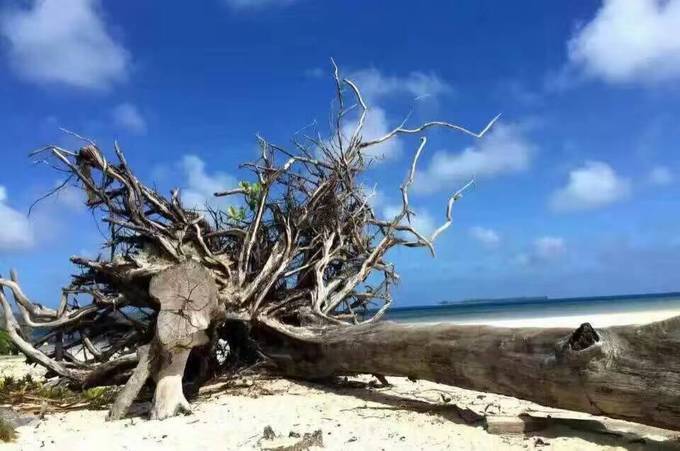 带着我的宝贝豆豆|一起去西太平洋上的海岛国家！