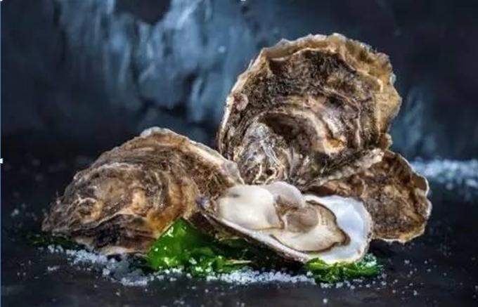 贝壳类海鲜最好吃有哪些,18款海鲜菜品分享给大家