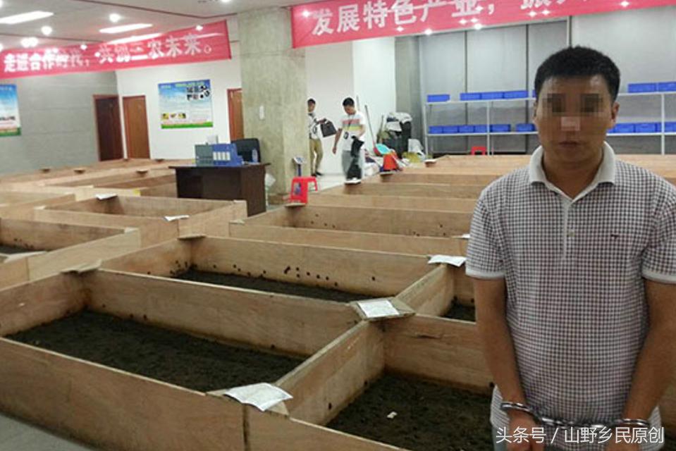 土元养殖被骗怎么处理,土元养殖骗局大揭秘央视