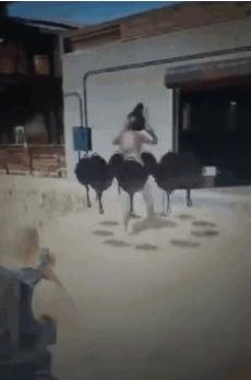 绝地求生能穿墙的辅助,绝地求生哪些辅助稳如狗