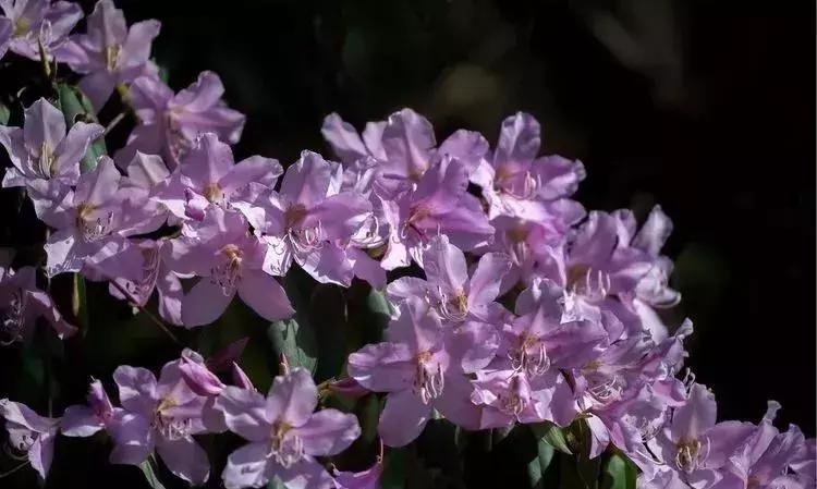 媲美九寨沟的碧湖潭，被誉为萍乡小三峡，是不可错过的世外仙境