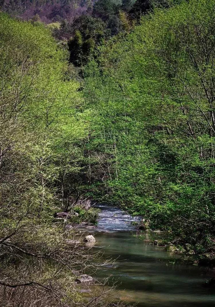 媲美九寨沟的碧湖潭，被誉为萍乡小三峡，是不可错过的世外仙境