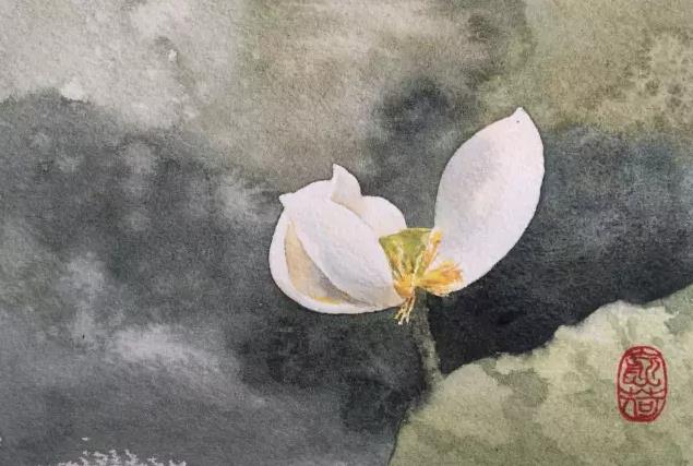 水彩夏天清新森系初学者荷花,水彩荷花画教程入门