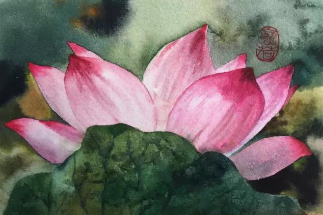 水彩夏天清新森系初学者荷花,水彩荷花画教程入门