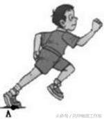 中考运动和力学题,中考力臂作图