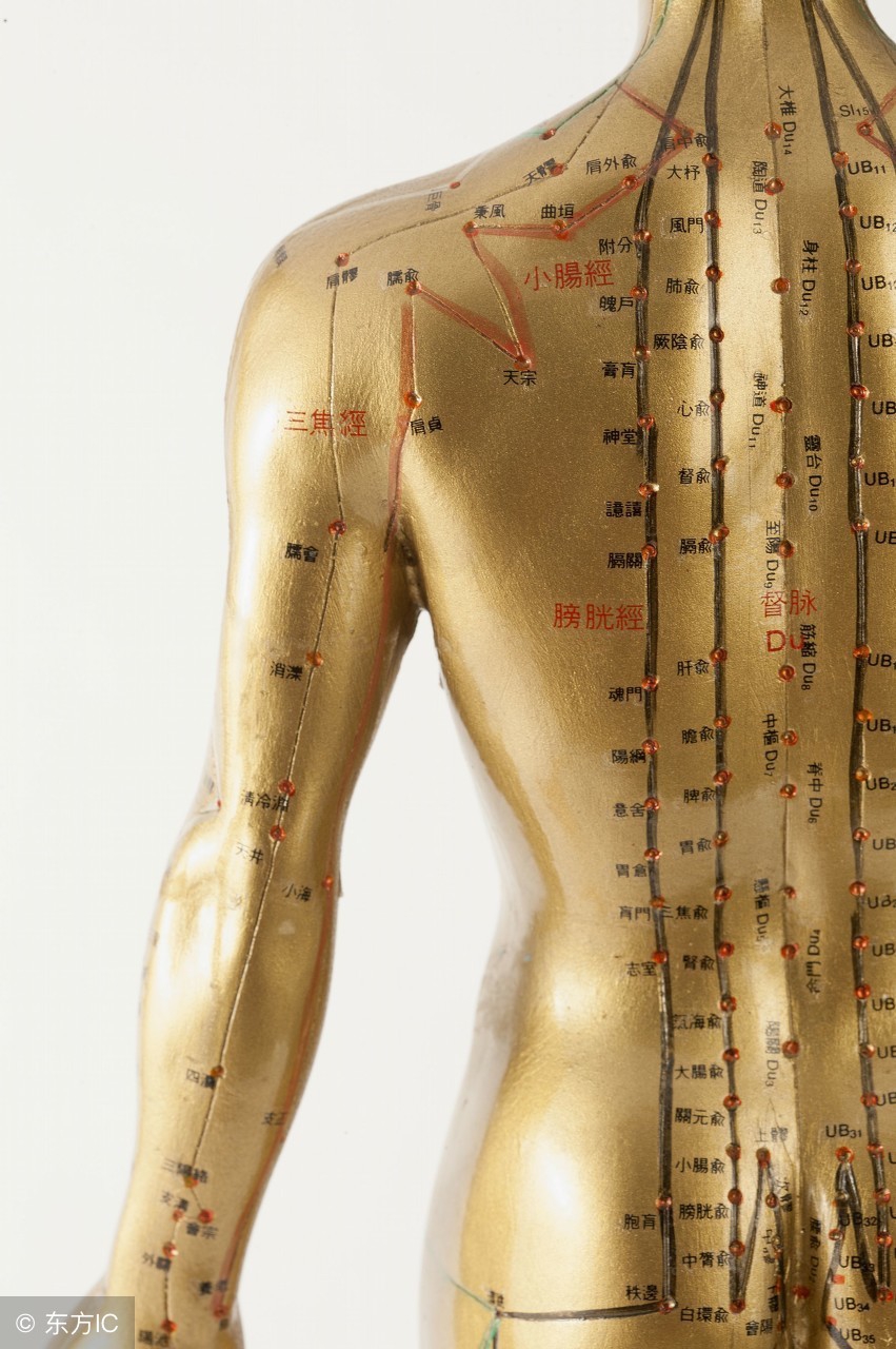 中医——友尽第一话题？可能只是你知道的太少了！