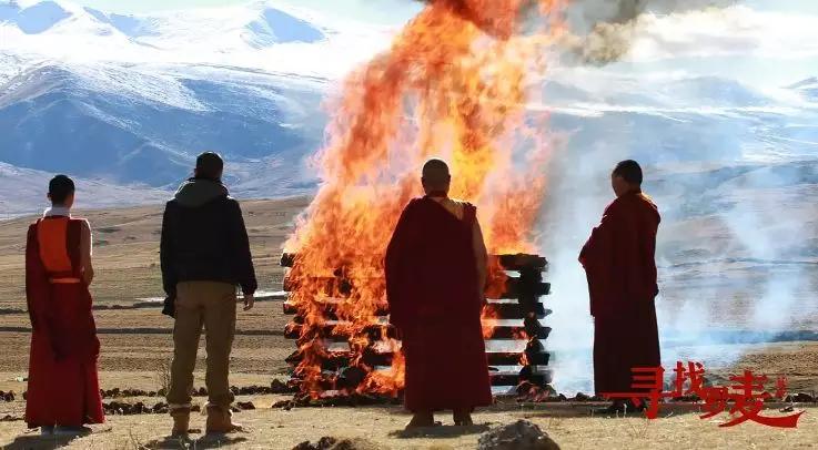 30部四月新片，6部必刷，9部滚粗！