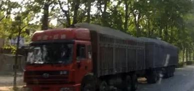 百吨王到底有多厉害,盘点百吨王的气场