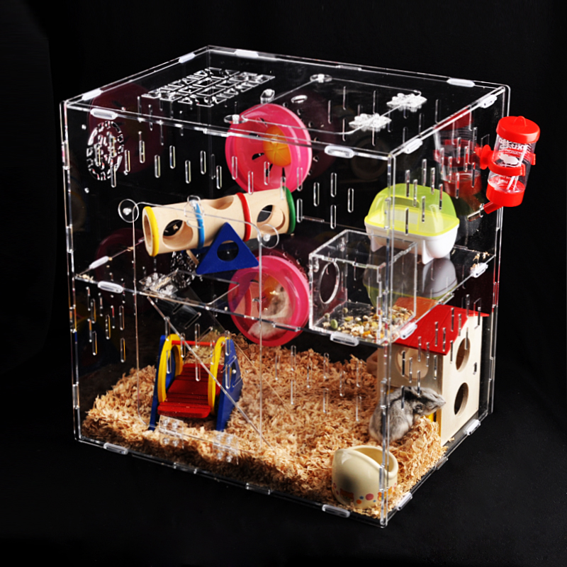 仓鼠可爱瞬间把人萌得要命,仓鼠萌到可以多可爱