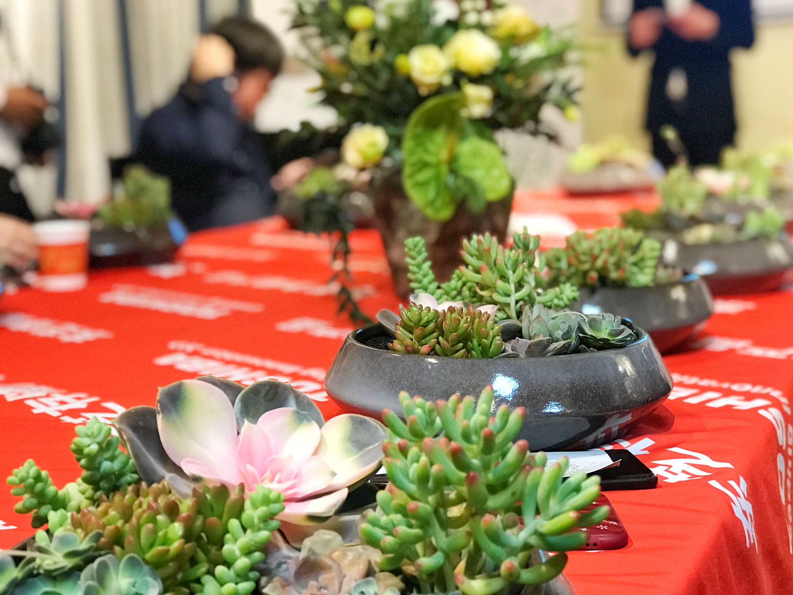 与低碳环保同行，东芝存储线下沙龙活动