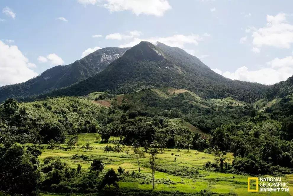 春天的小手儿热情呼唤，这14个好地方等你去浪！