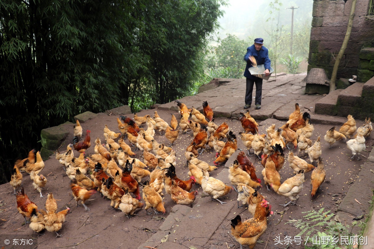 致富经90后小伙的财富秘笈,致富经让年轻人快速倾家荡产