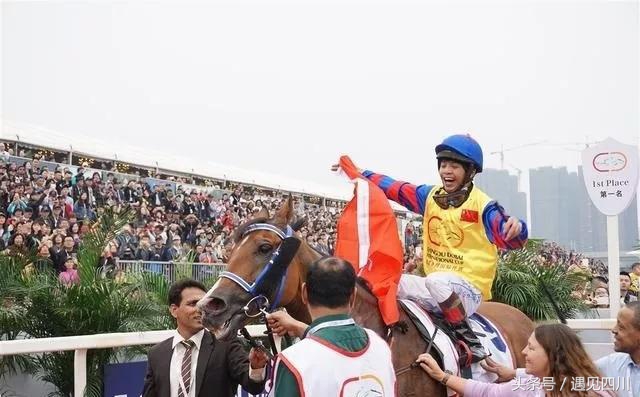 冠军归来｜中华骑师再战“成都迪拜国际杯温江迈丹赛马经典赛”